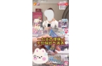15分钟花1500元无视未成年沉迷瓦利棋